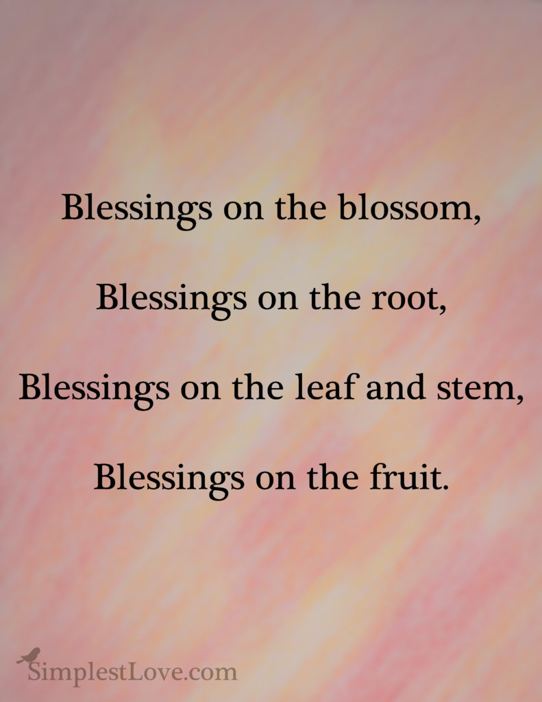 BlessingsBlossom