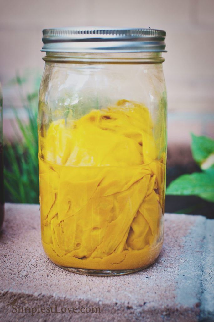 Natural silk dying Turmeric 