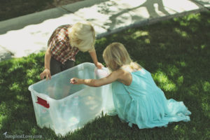 Paper Water Lilies project